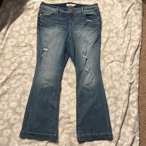 Torrid Flare Distressed Jeans Size 20T Tall